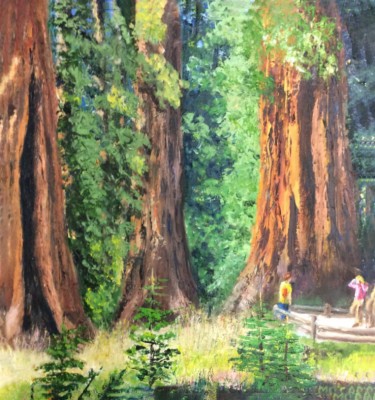 Redwoods                           